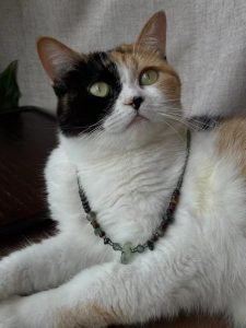 dewberryart refund policy